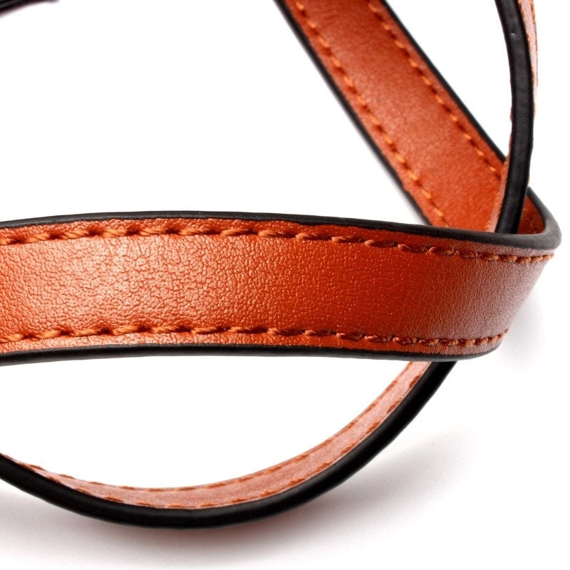 Brown Tri-color Stripe Leather Handbags | PRUSES-1