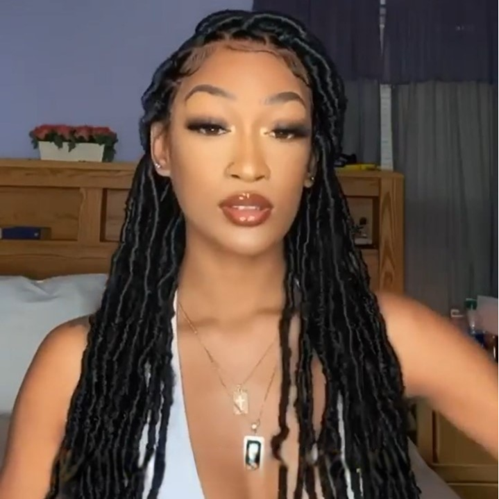 New Arrival-100% Hand-Braided Box Braid Wig(28 Inches)