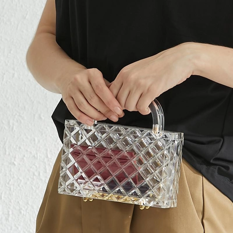clear_acrylic_quilted_top_handle_box_clutch_bag_handbags_1