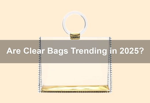 Are Clear Bags Trending in 2025? -  PRUSES