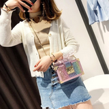 Rainbow Glitter Box Chain Bag Crossbody Purses | PRUSES-5