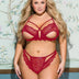 Women Plus Size Charm Sexy Lace Underwire Sheer Bra Set-3