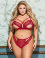Women Plus Size Charm Sexy Lace Underwire Sheer Bra Set-3