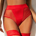 Women Plus Size High Waist Lace Belt Side Mesh Garter Belts-8