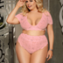 Women Plus Size High Waist Multicolor Lace Sexy Bra Set-5