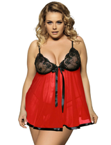Women Plus Size Mesh Embroidery Babydoll-55