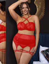 Women_Plus_Size_Mesh_Underwire_Garter_Lingerie_Set_10