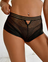 Women Plus Size Sexy High Waist Perspective Panty