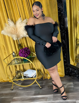 Women Plus Size Solid Boat Neck Dress-1