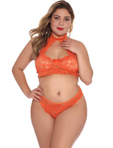 Women Plus size lace sexy bra set-6