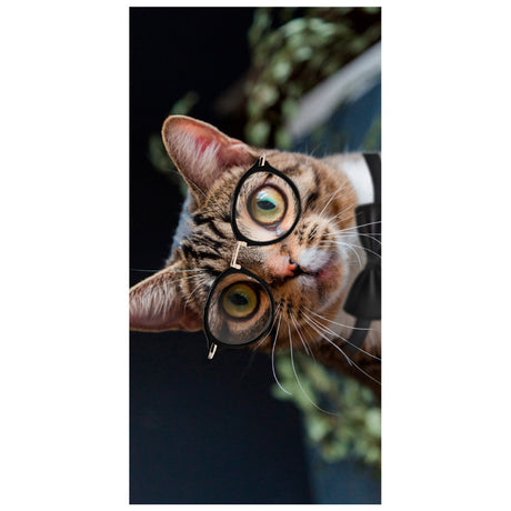 Cute Kitten Beach Towel | PRUSES - PRUSES