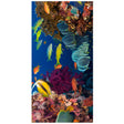 Marine Animals Beach Towel | PRUSES - PRUSES