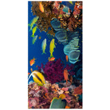 Marine Animals Beach Towel | PRUSES - PRUSES