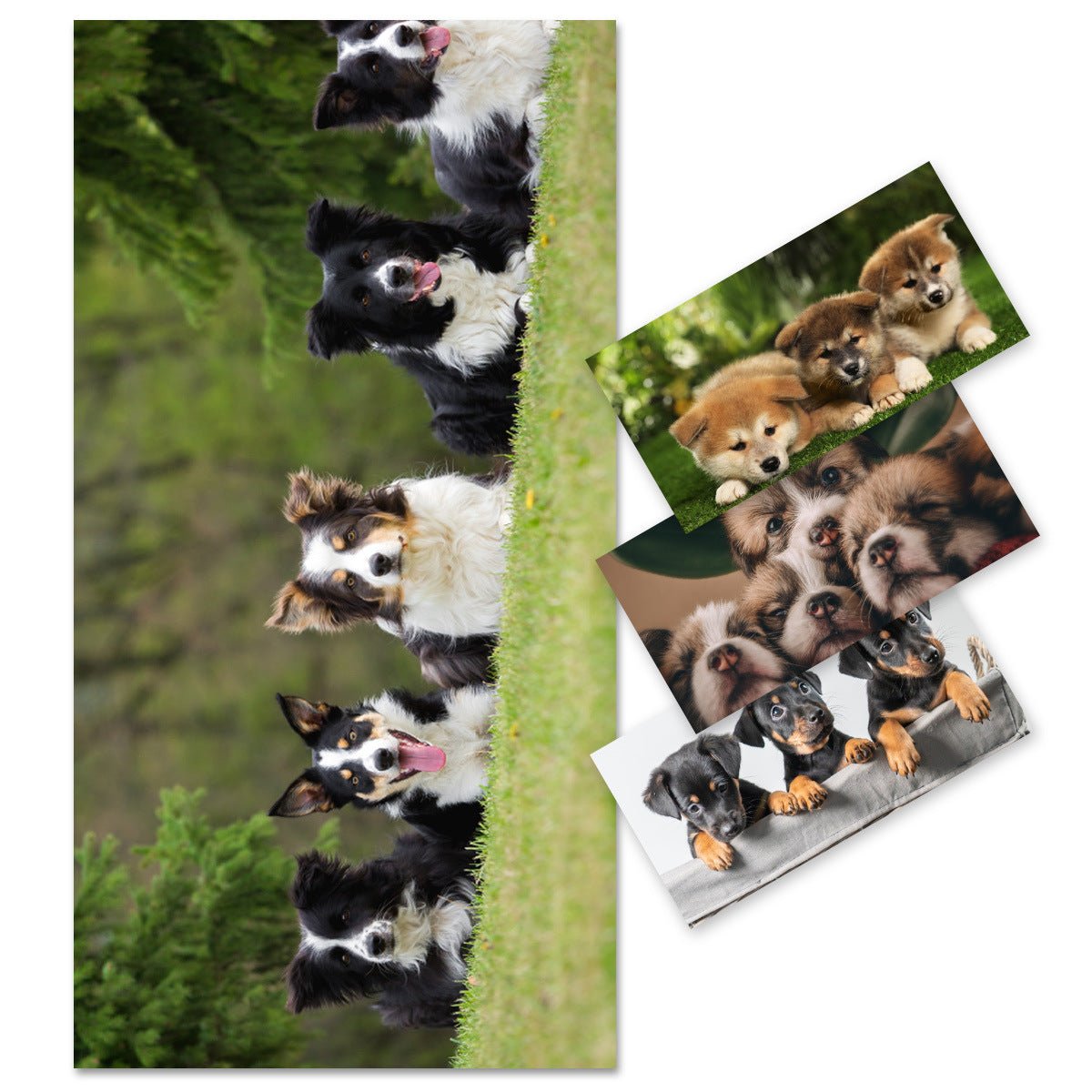 Pet Lover Beach Towel | PRUSES - PRUSES