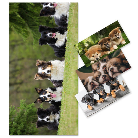 Pet Lover Beach Towel | PRUSES - PRUSES