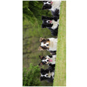 Pet Lover Beach Towel | PRUSES - PRUSES