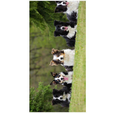 Pet Lover Beach Towel | PRUSES - PRUSES