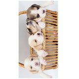 Pet Pictures Beach Towel | PRUSES - PRUSES